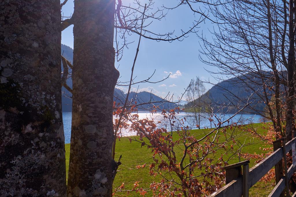 Pension Aloisia Scheffau am Wilden Kaiser Dış mekan fotoğraf