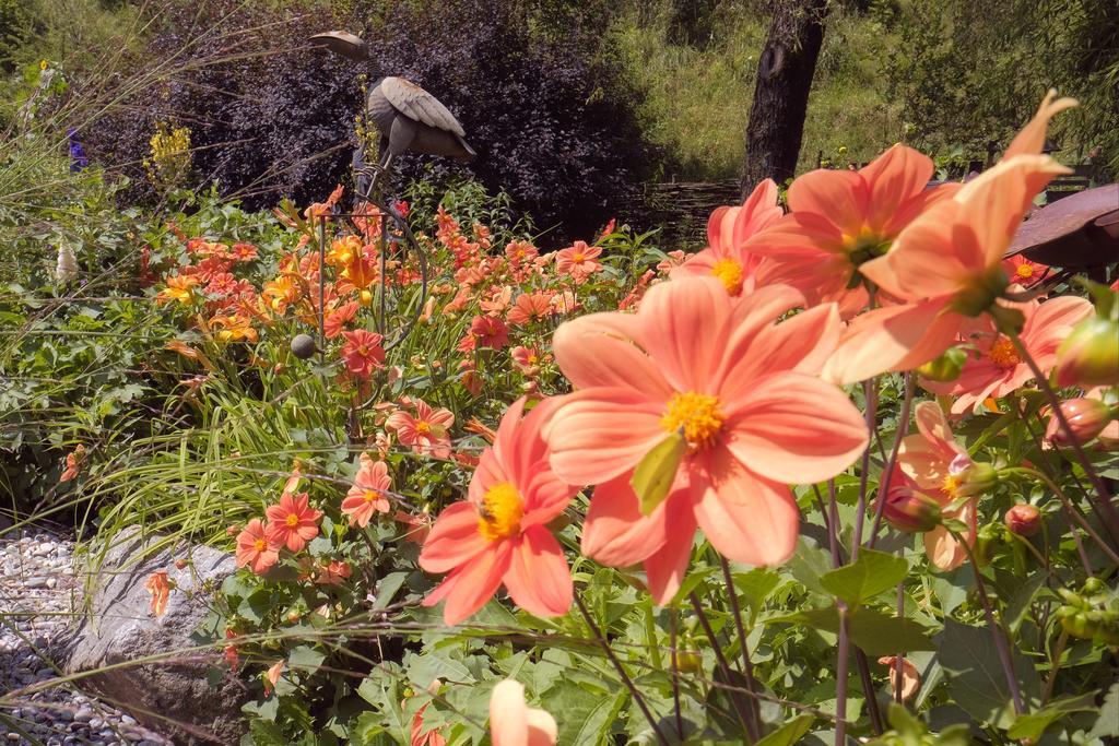Pension Aloisia Scheffau am Wilden Kaiser Dış mekan fotoğraf