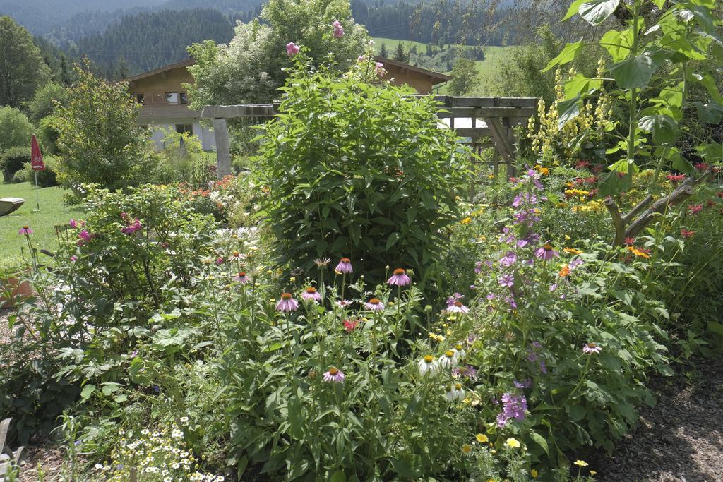 Pension Aloisia Scheffau am Wilden Kaiser Dış mekan fotoğraf
