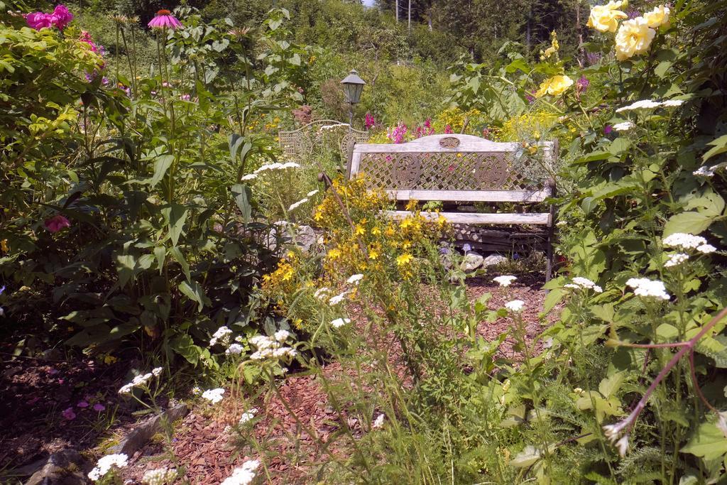 Pension Aloisia Scheffau am Wilden Kaiser Dış mekan fotoğraf