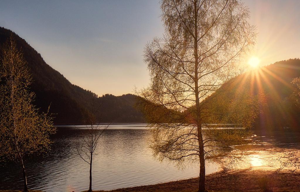 Pension Aloisia Scheffau am Wilden Kaiser Dış mekan fotoğraf