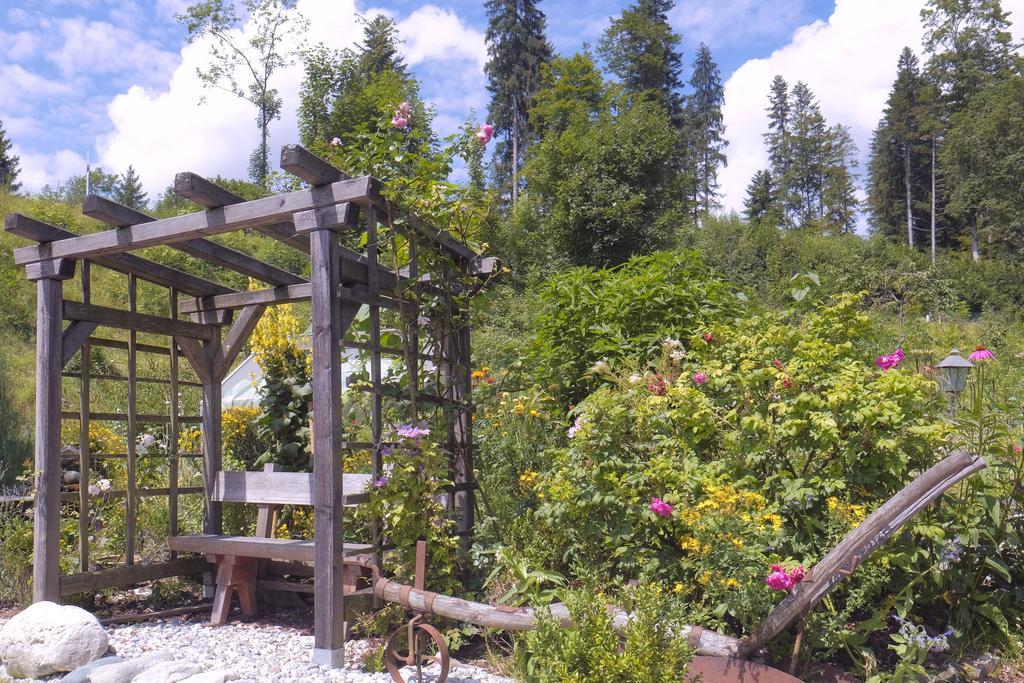 Pension Aloisia Scheffau am Wilden Kaiser Dış mekan fotoğraf