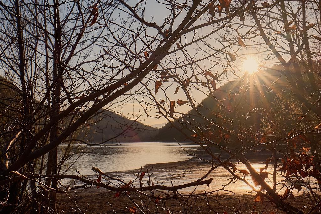 Pension Aloisia Scheffau am Wilden Kaiser Dış mekan fotoğraf