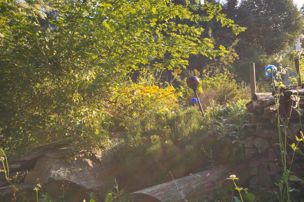 Pension Aloisia Scheffau am Wilden Kaiser Dış mekan fotoğraf