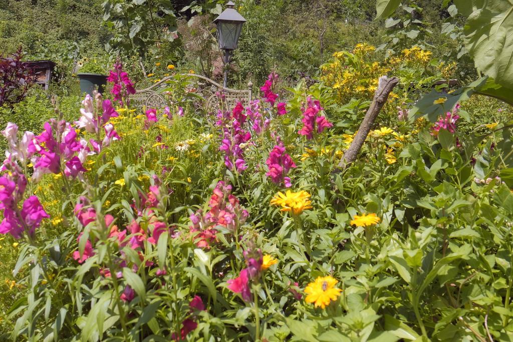 Pension Aloisia Scheffau am Wilden Kaiser Dış mekan fotoğraf