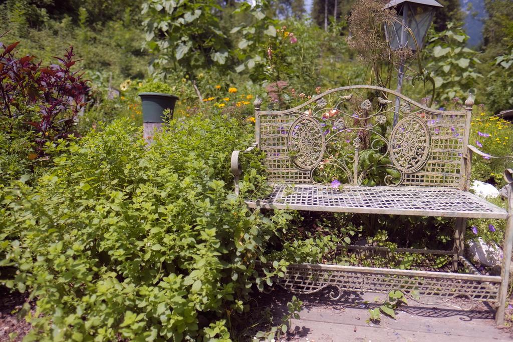 Pension Aloisia Scheffau am Wilden Kaiser Dış mekan fotoğraf