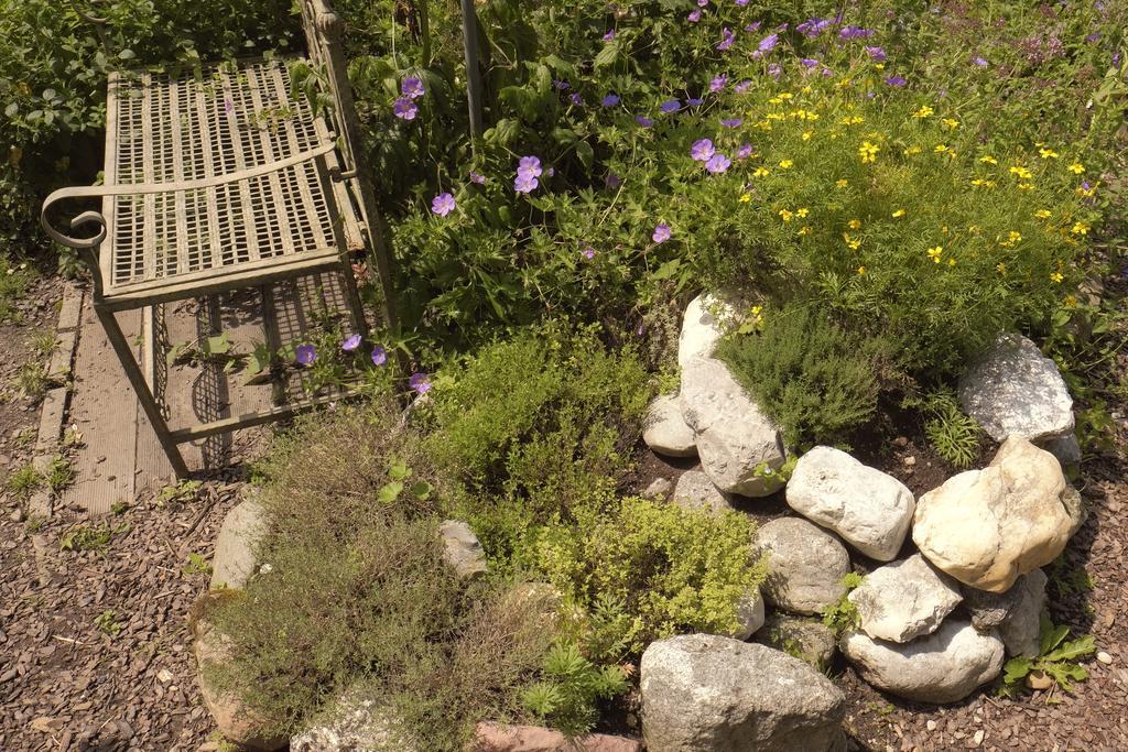 Pension Aloisia Scheffau am Wilden Kaiser Dış mekan fotoğraf