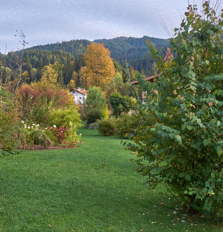 Pension Aloisia Scheffau am Wilden Kaiser Dış mekan fotoğraf