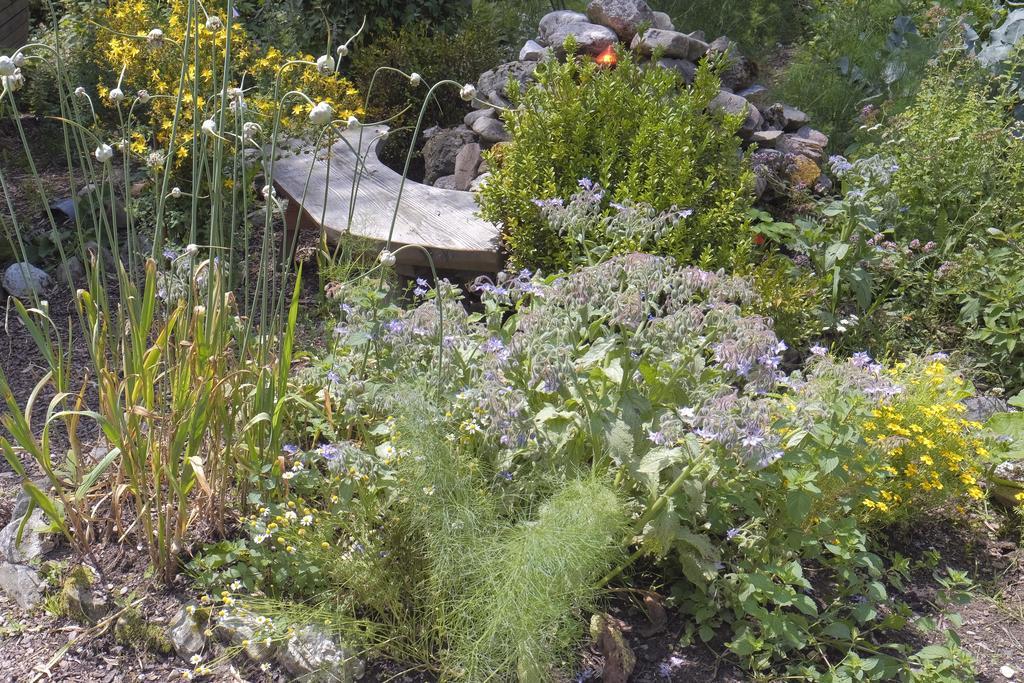 Pension Aloisia Scheffau am Wilden Kaiser Dış mekan fotoğraf